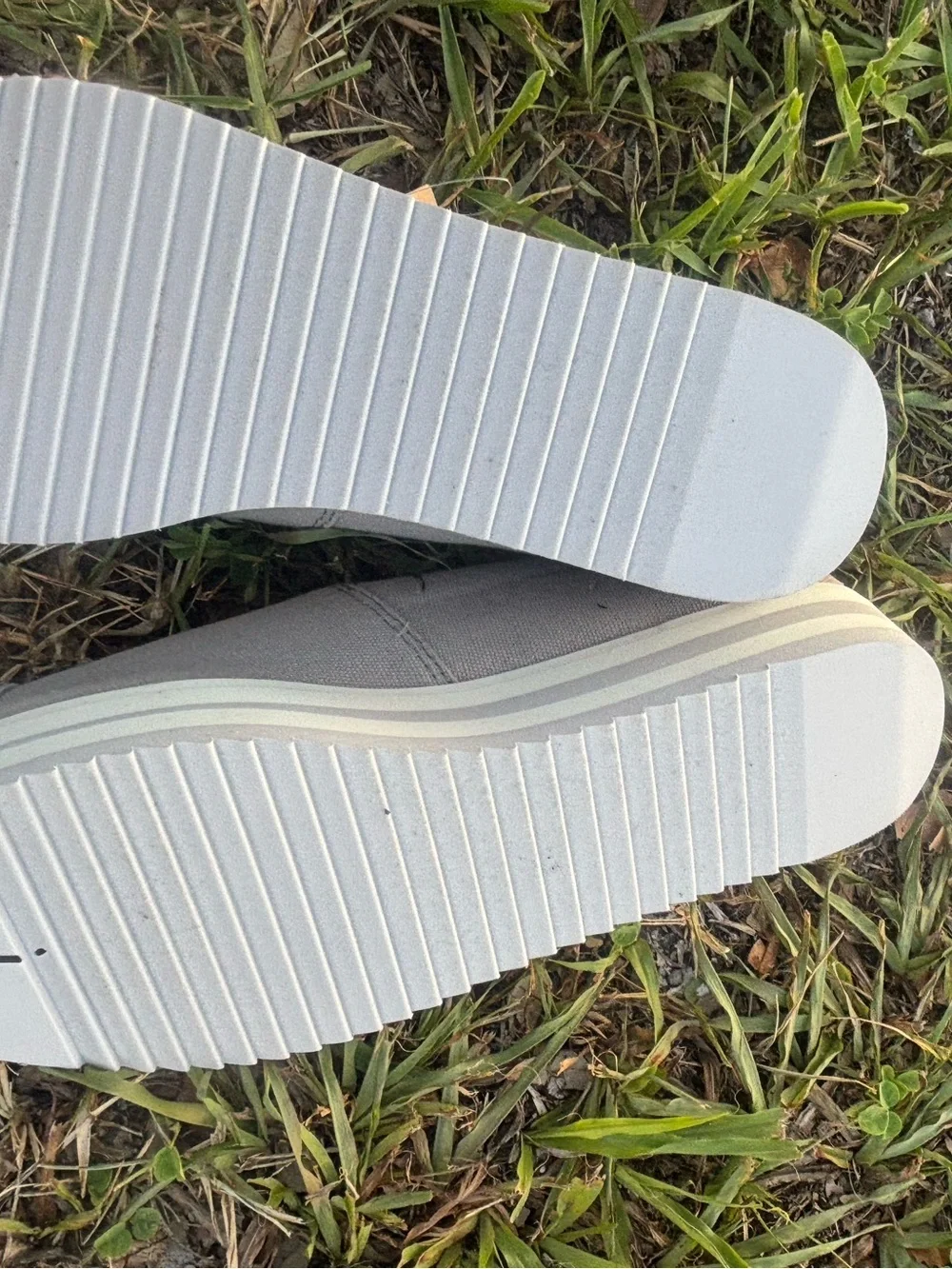 Toms grey canvas